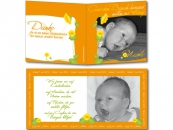 Babykarte Nicole