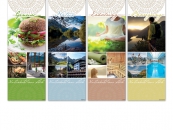 COLLECTION-Fl-Fo-We154