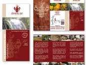 COLLECTION-Fl-Fo-We24